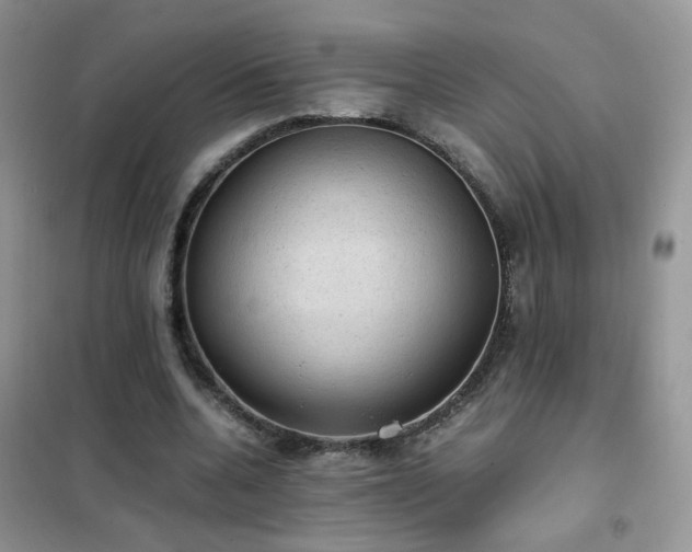 X0000102390536200808011602