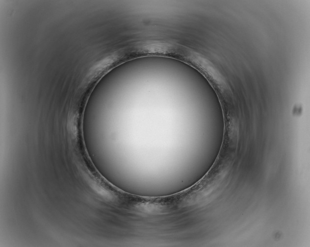 X0000102390537200808011602