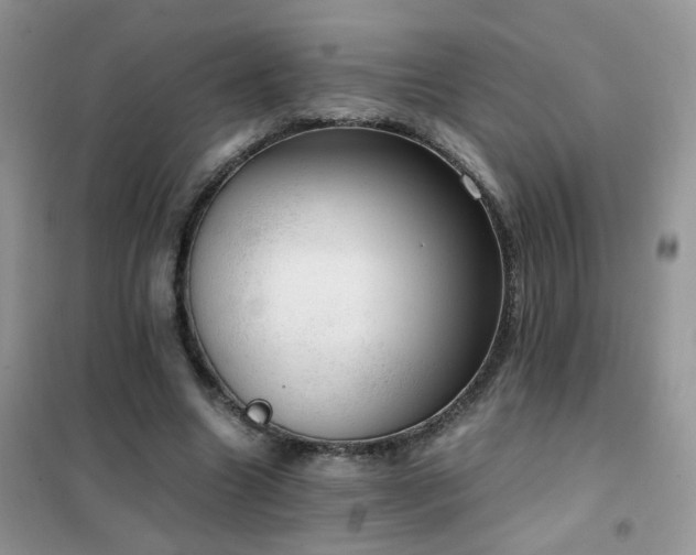 X0000102390538200808011602