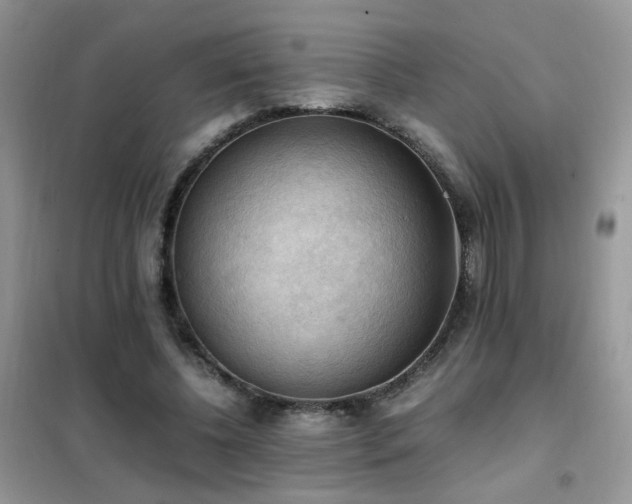 X0000102390540200808011602