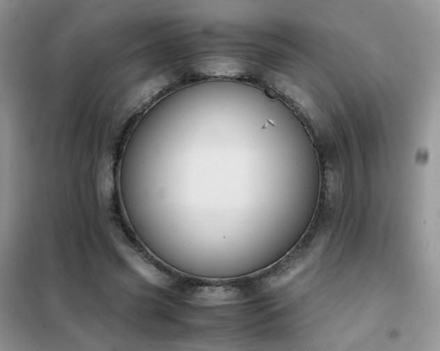 X0000102390541200808011602