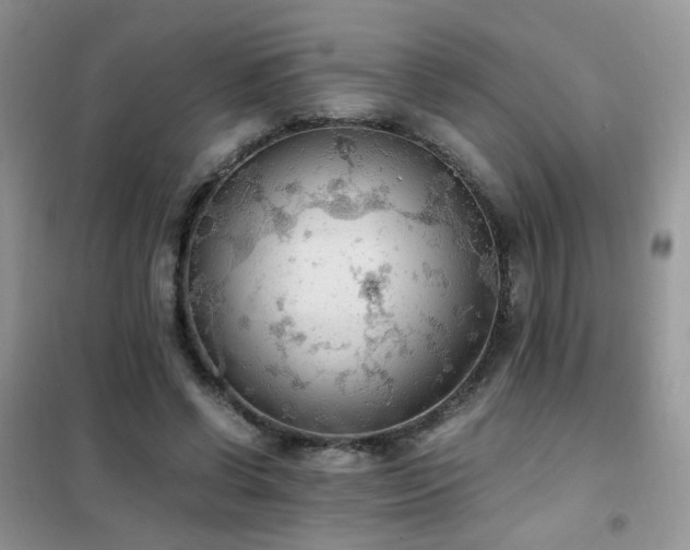 X0000102390542200808011602