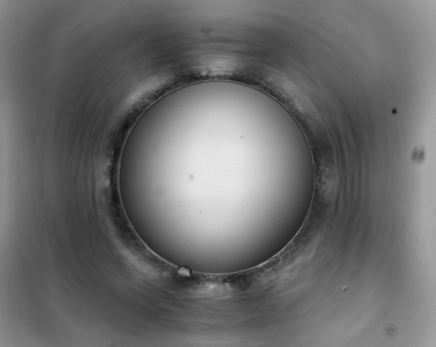 X0000102390543200808011602