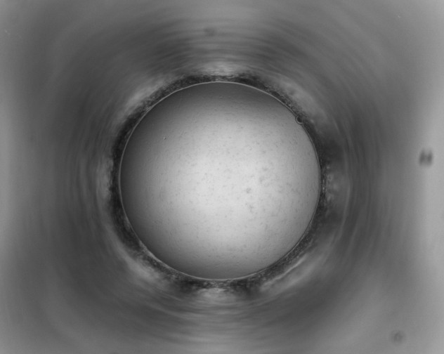 X0000102390544200808011602