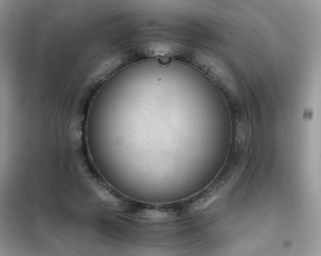 X0000102390545200808011602