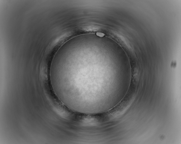 X0000102390547200808011602