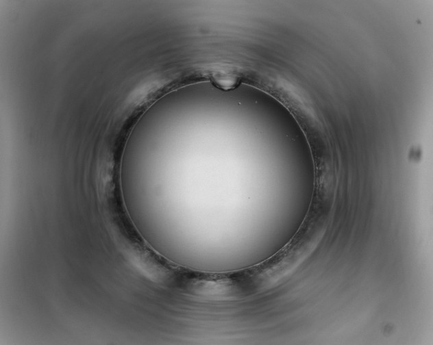 X0000102390548200808011602