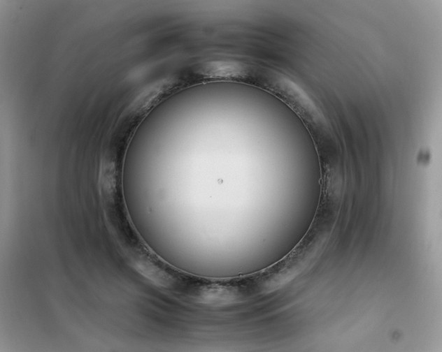 X0000102390549200808011602