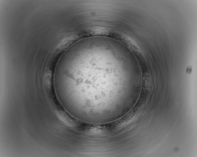 X0000102390550200808011602