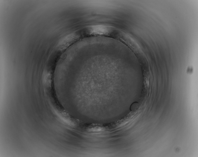 X0000102390551200808011602