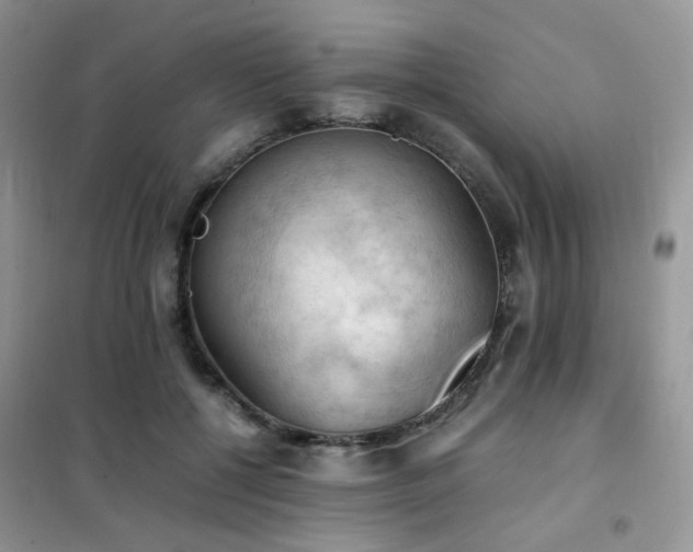 X0000102390552200808011602