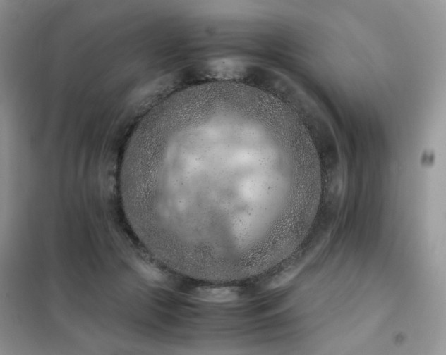 X0000102390553200808011602