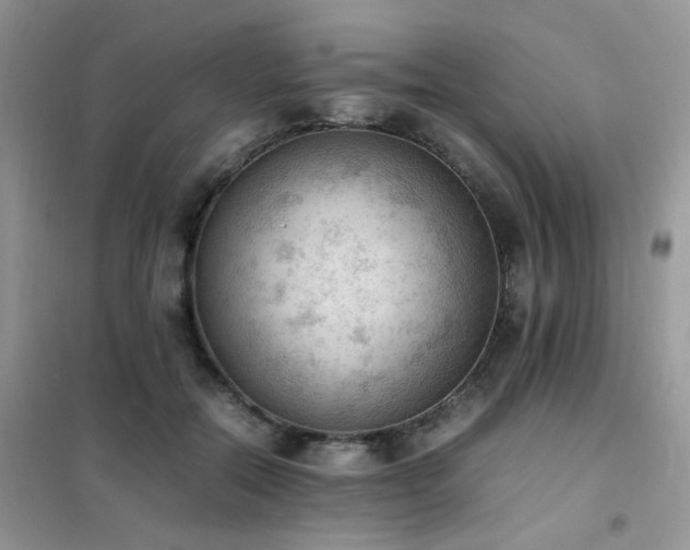 X0000102390554200808011603