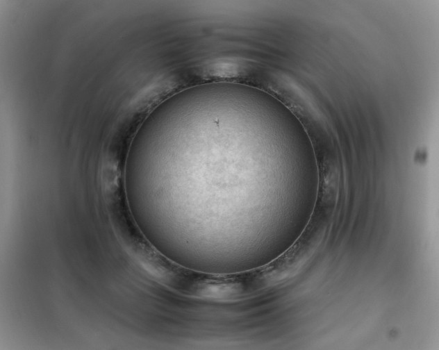 X0000102390555200808011603