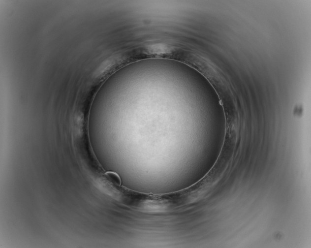 X0000102390556200808011603