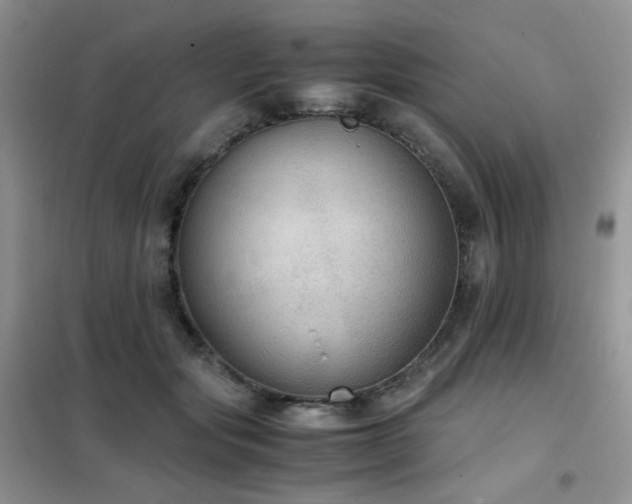 X0000102390557200808011603