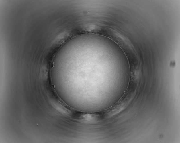 X0000102390558200808011603