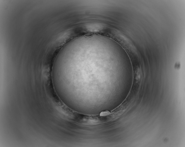 X0000102390559200808011603