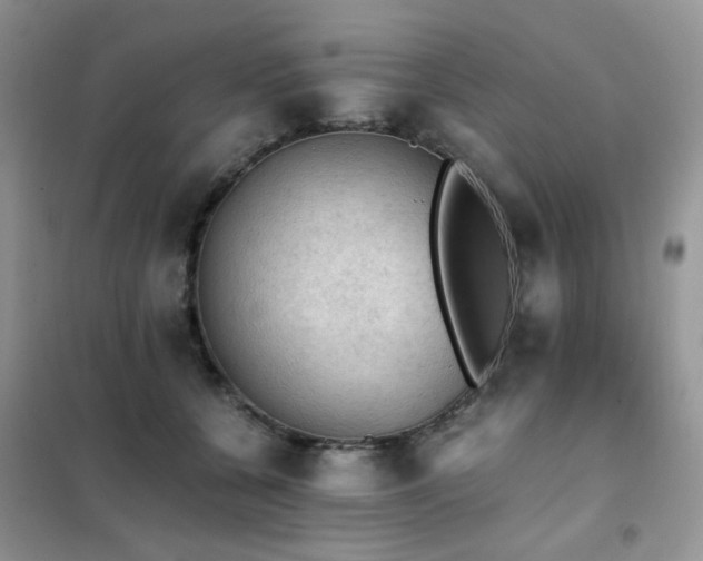 X0000102390560200808011603