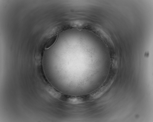 X0000102390561200808011603