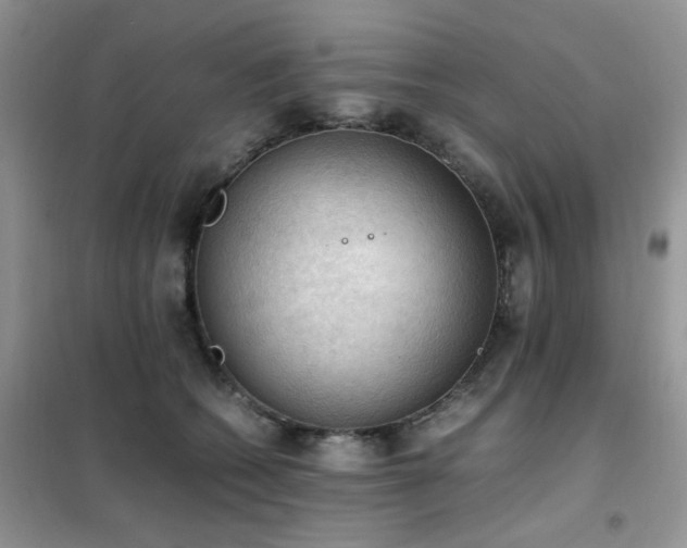 X0000102390562200808011603