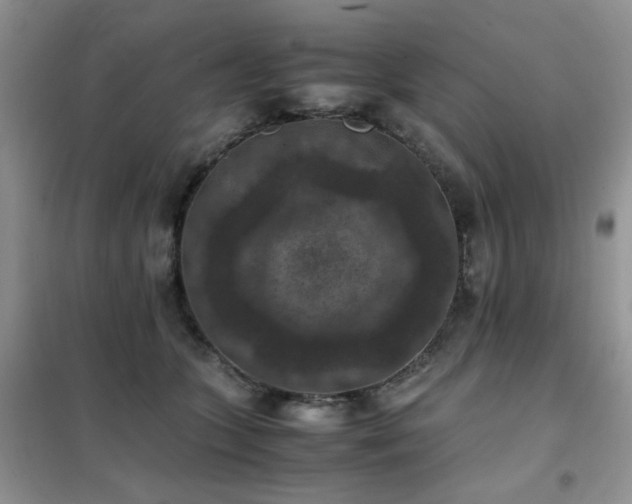 X0000102390563200808011603