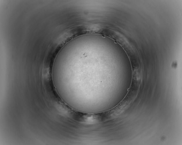 X0000102390564200808011603