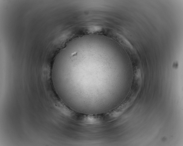 X0000102390565200808011603