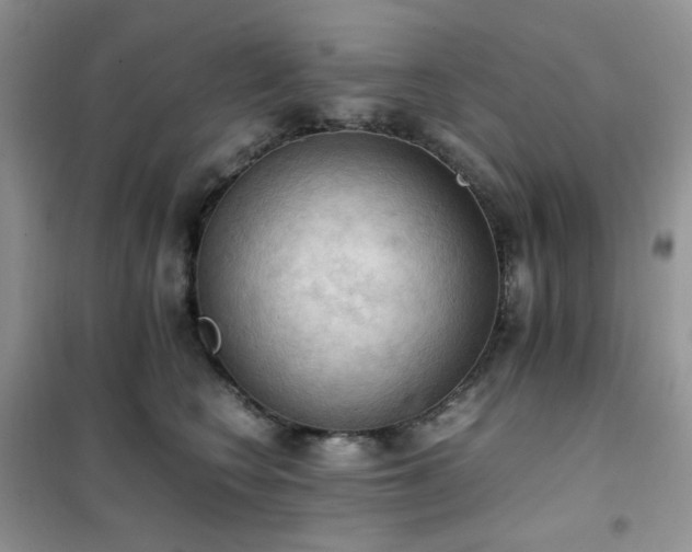 X0000102390566200808011603