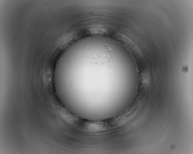 X0000102390567200808011603