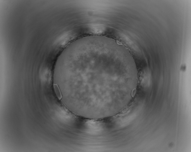 X0000102390568200808011603