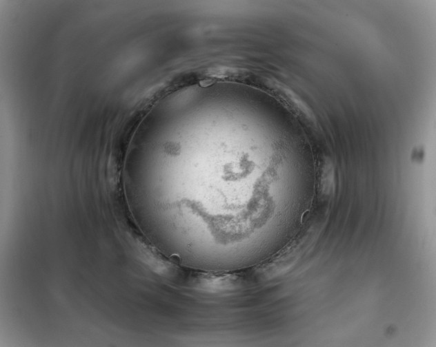 X0000102390569200808011603