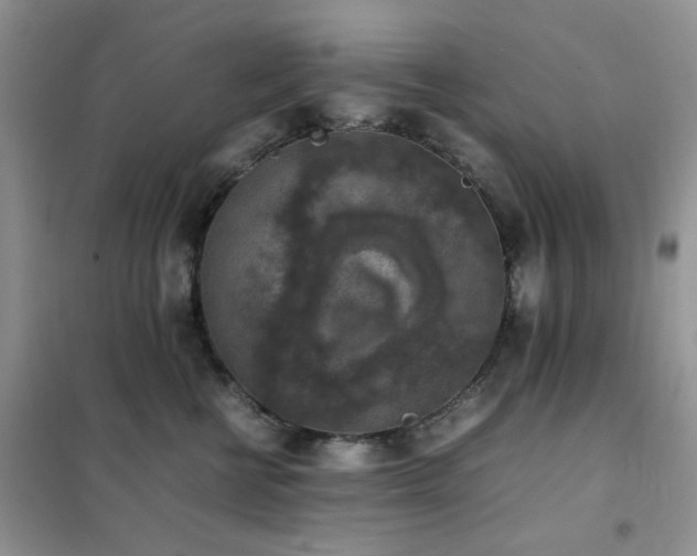 X0000102390570200808011603