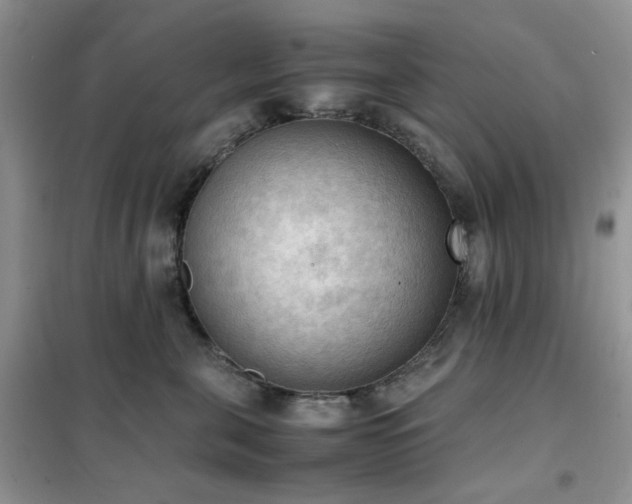 X0000102390571200808011603