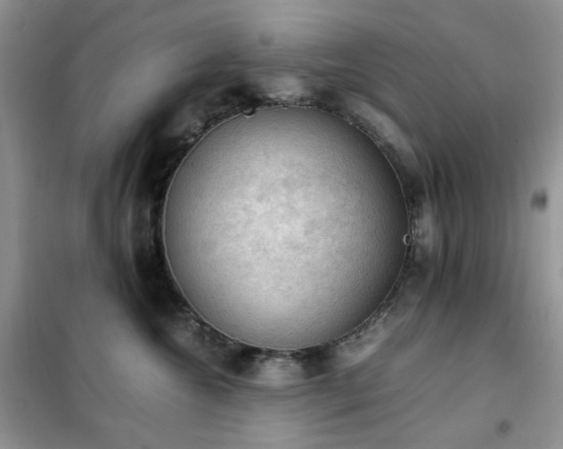 X0000102390572200808011603