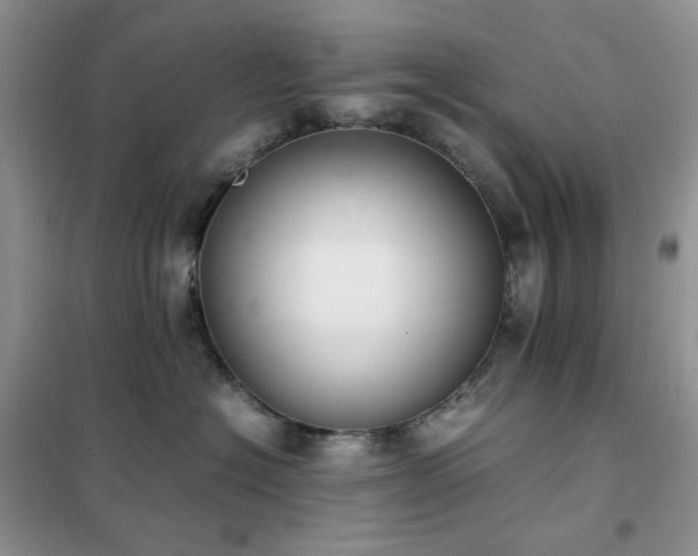 X0000102390574200808011603