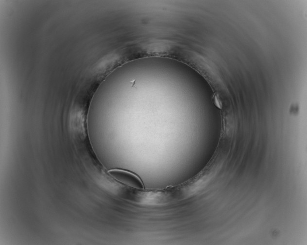 X0000102390575200808011603