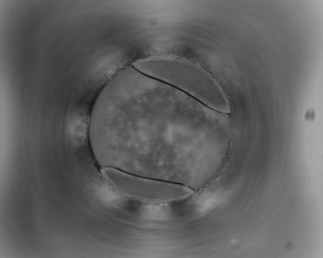 X0000102390576200808011603