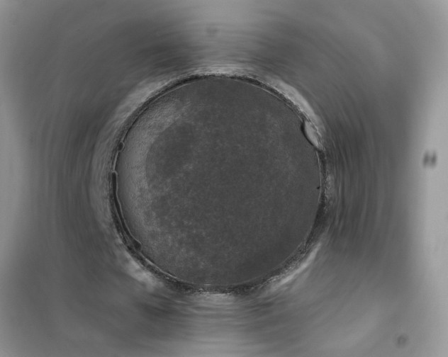 X0000102390577200808011602