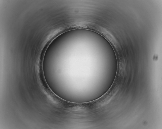 X0000102390578200808011602