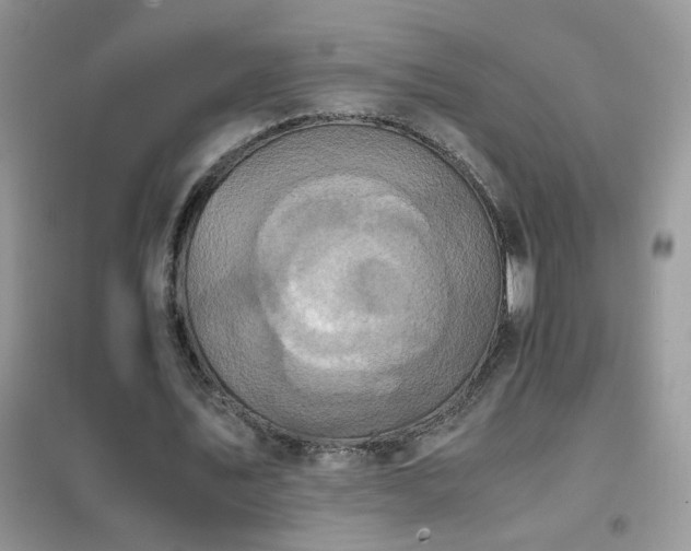 X0000102390579200808011602