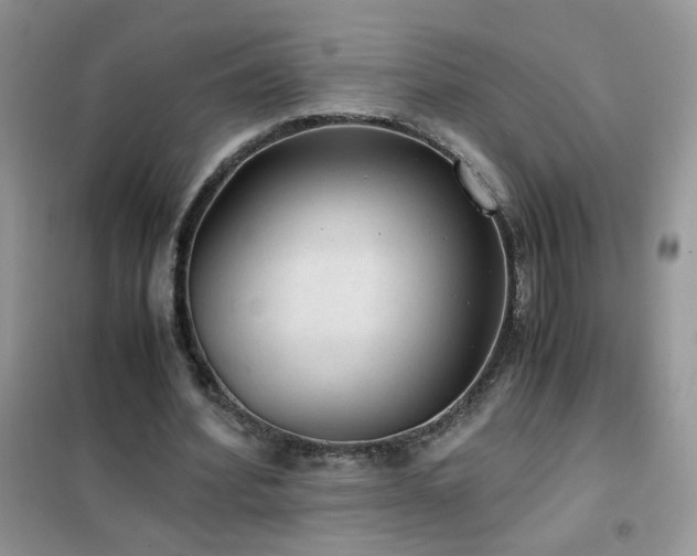 X0000102390580200808011602