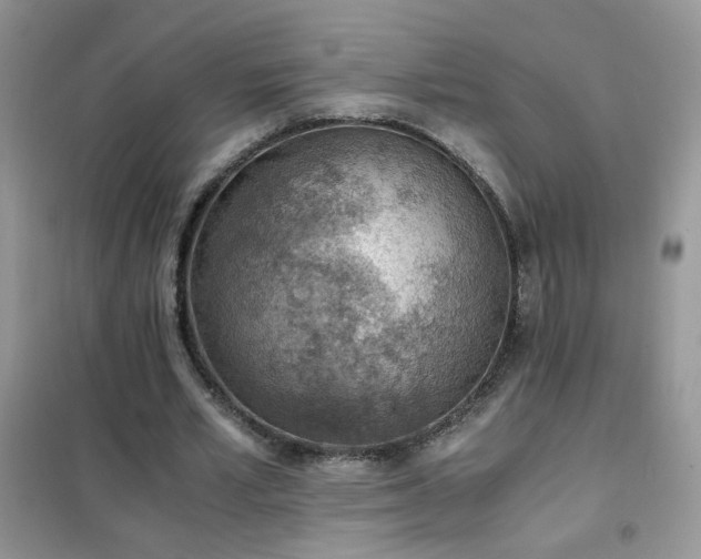 X0000102390581200808011602