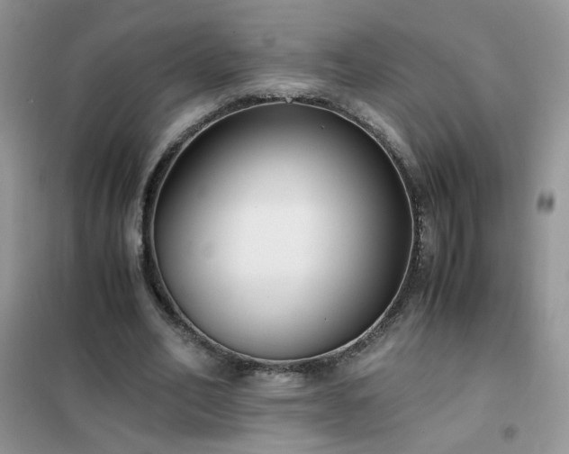 X0000102390582200808011602