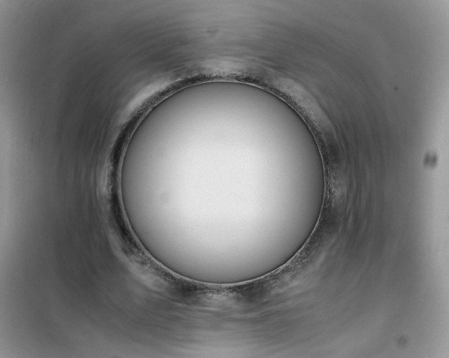 X0000102390583200808011602