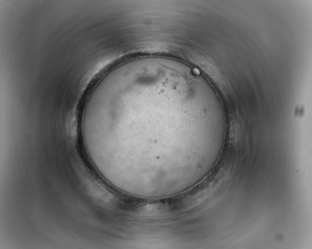 X0000102390584200808011602