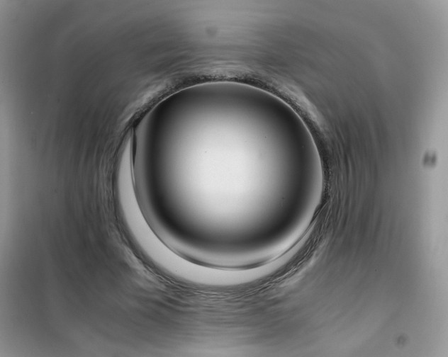 X0000102390585200808011602