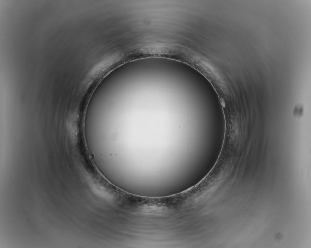 X0000102390586200808011602