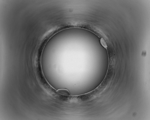 X0000102390587200808011602