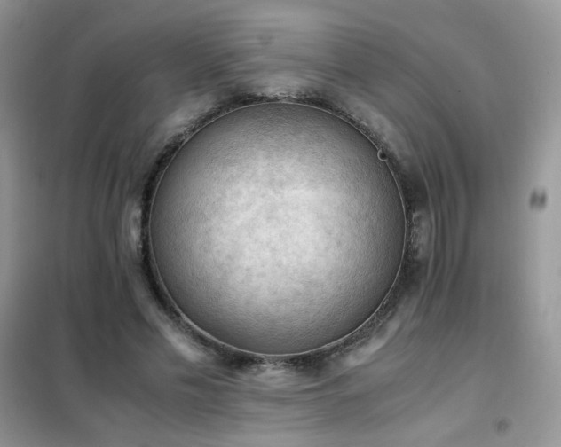 X0000102390589200808011602